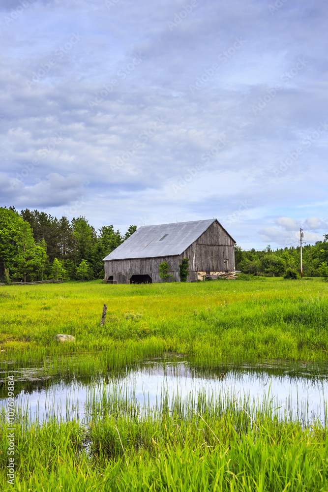 Obraz premium Rural Landscape in Summer