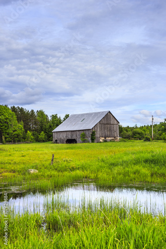 Rural Landscape in Summer