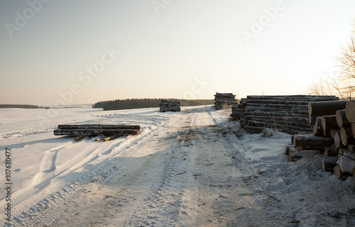 felled trees ,  snow © rsooll