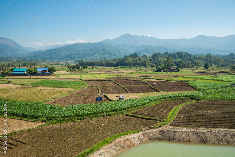 Landscape of mountain and farm