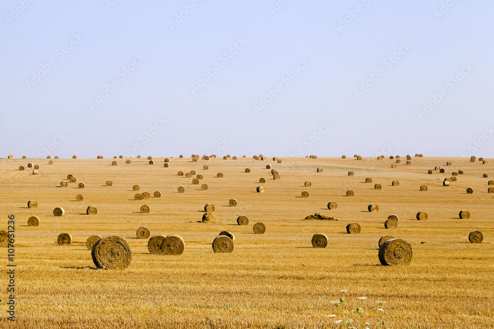 Obraz premium stack of straw in the field 