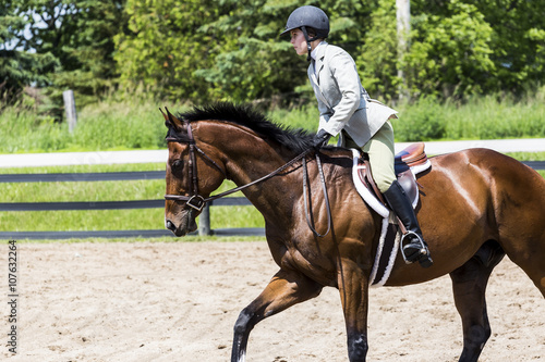 equestrian riding in hunter and jumper ring