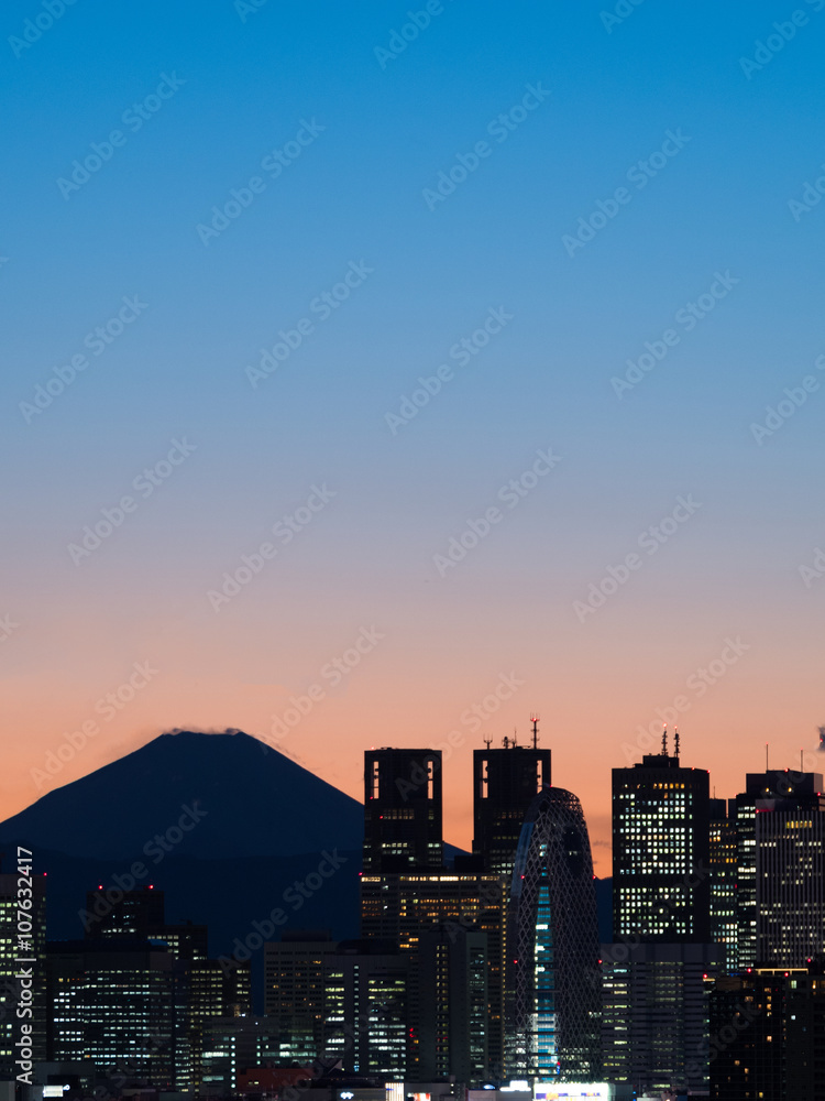 Fototapeta premium 新宿高層ビル群と富士山