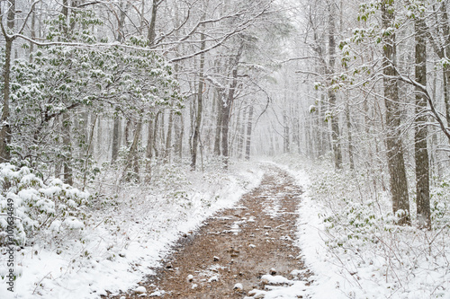 Winter hiking trail