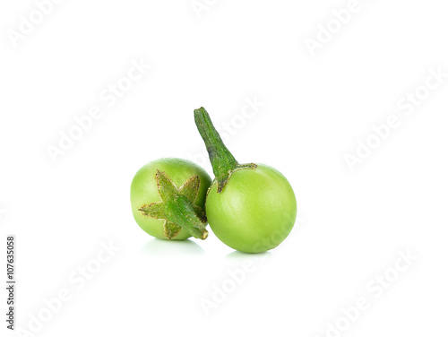 Solanum torvum on white background