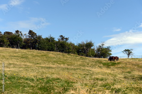 Harberton estate is the oldest farm of Tierra del Fuego