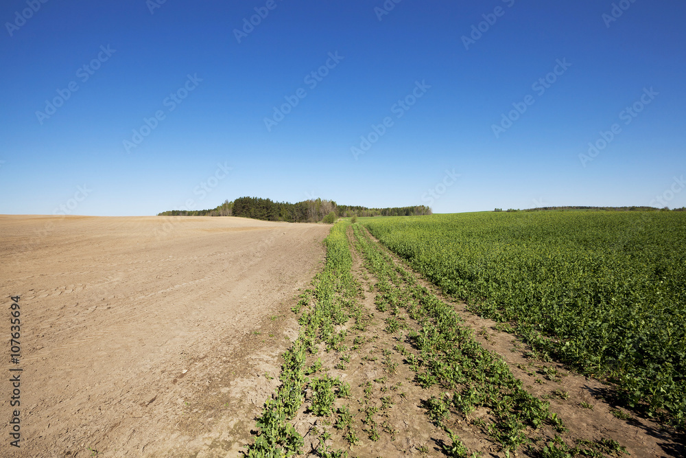 plowed for crop land  