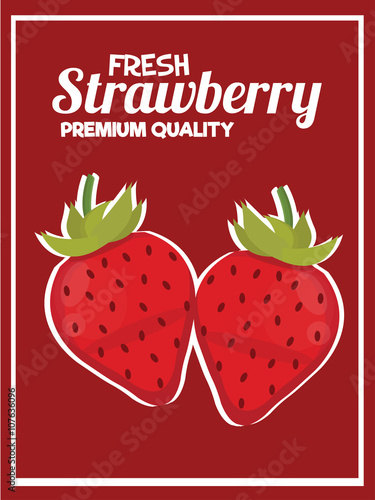 Strawberry Poster with Retro Style. Isolated Vector. Illustration