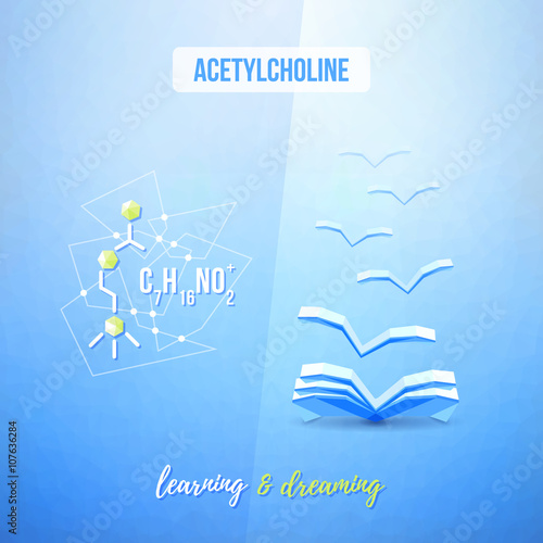 Acetylcholine chemistry low poly educational design. Learning and library concept