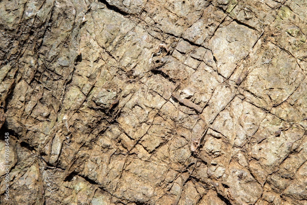 Stone natural background Stone natural background