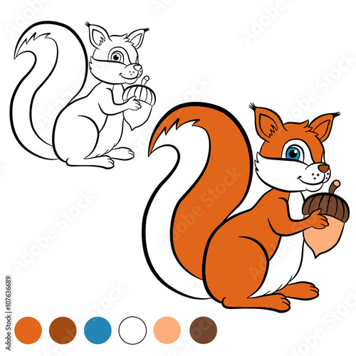 Coloring page. Color me: squirrel.  Little cute squirrel stands and holds an acorn in the hands..