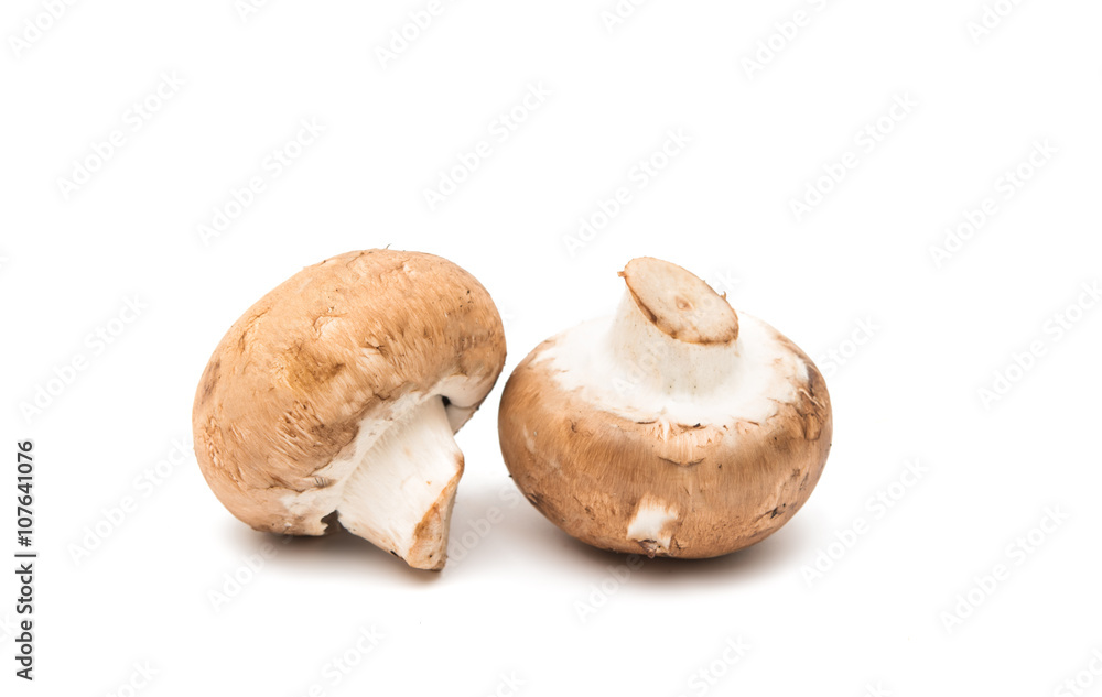 Brown champignon mushroom Brown champignon mushroom