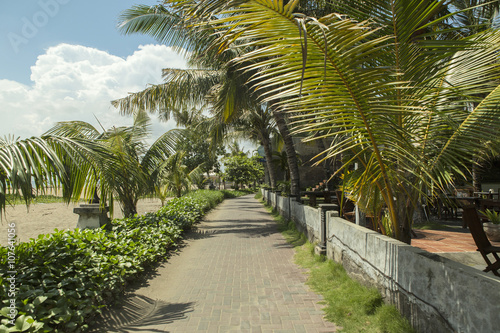 Kuta Beach palm coat, luxury resort with swimming pool and sunbeds. Bali, Indonesia © murmakova