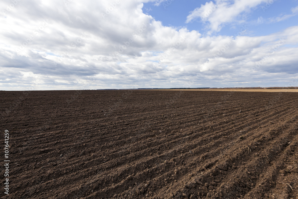farm field cereals farm field cereals