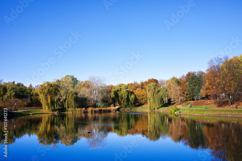 Lake in Autumn Moczydlo Park in Warsaw