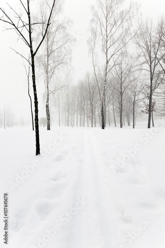 winter road , track.