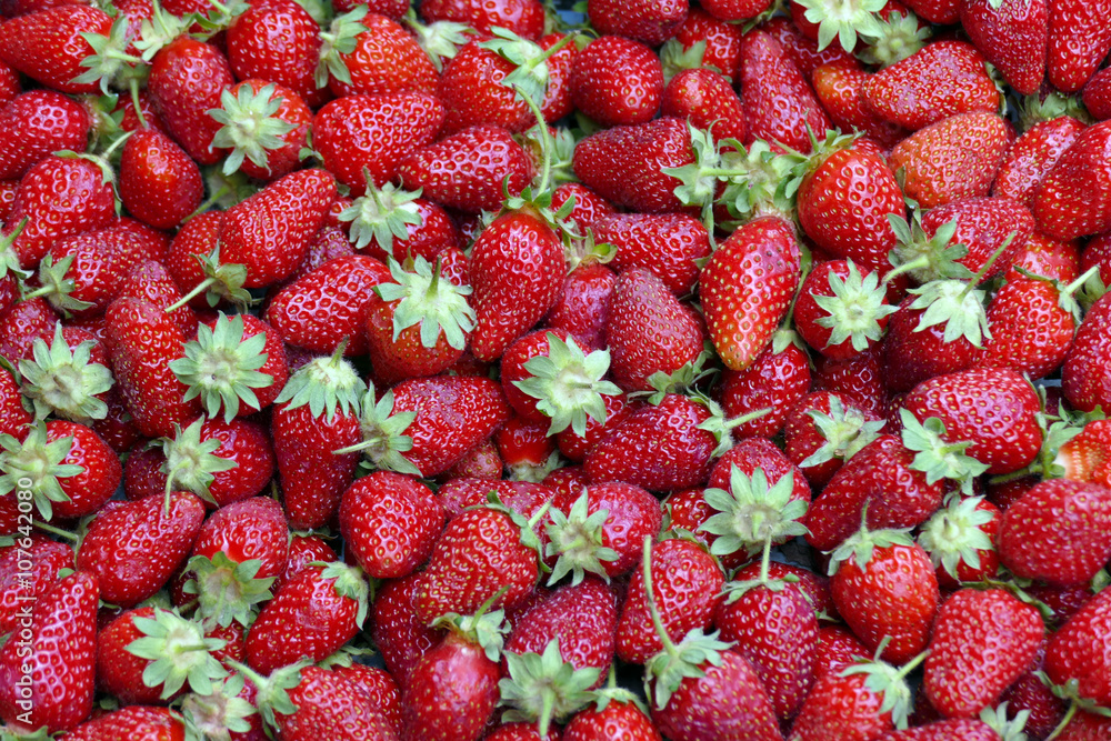 ripe strawberries