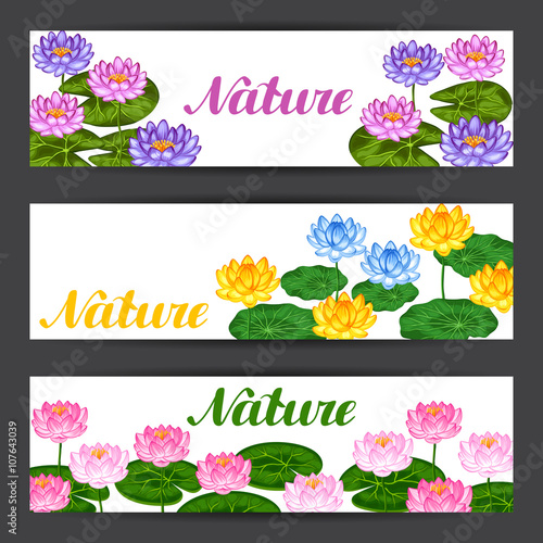 Fototapeta Naklejka Na Ścianę i Meble -  Natural banners with lotus flowers and leaves. Design for cards, flayers, brochures, advertising booklets