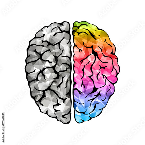 Creative concept of the human brain