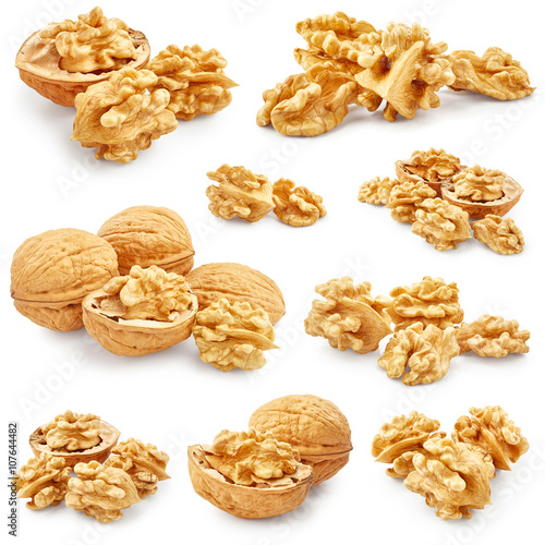 Set of walnuts