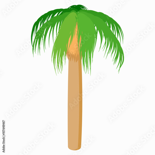 Palm tree icon  cartoon style