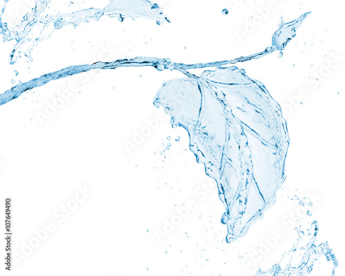 Leaf made of water splash