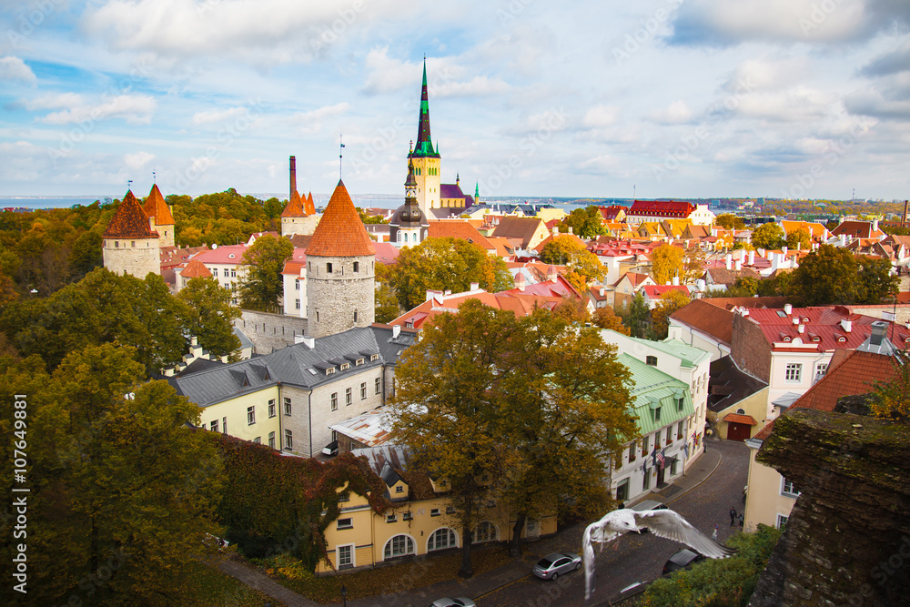 View top on historic centre of Tallinn in the Estonia. Red roofs of the old houses of the European city Tallinn. The ancient architecture. Roof with wings.