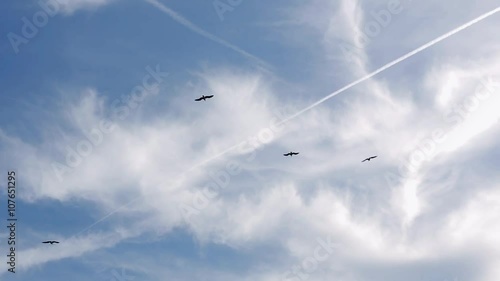 View of several seagull birds flying in blue sky. Trail from an airplane. Summer sunny day. Cloudness photo