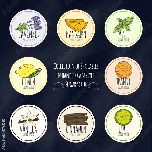 A large collection of labels for decorating packages from body scrubs and face in colorful hand drawn style. Vector