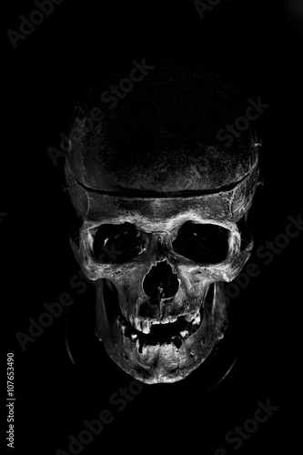 abstract skull