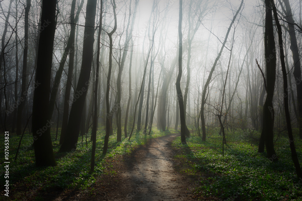 Obraz premium Schwechat-Au