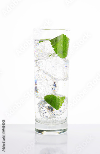 fresh water with mint and ice