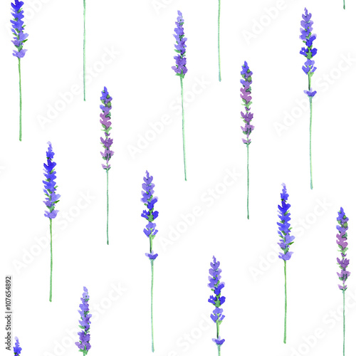 Fototapeta Naklejka Na Ścianę i Meble -  Lavanda flowers.Floral seamless pattern.Watercolor hand drawn illustration.White background.