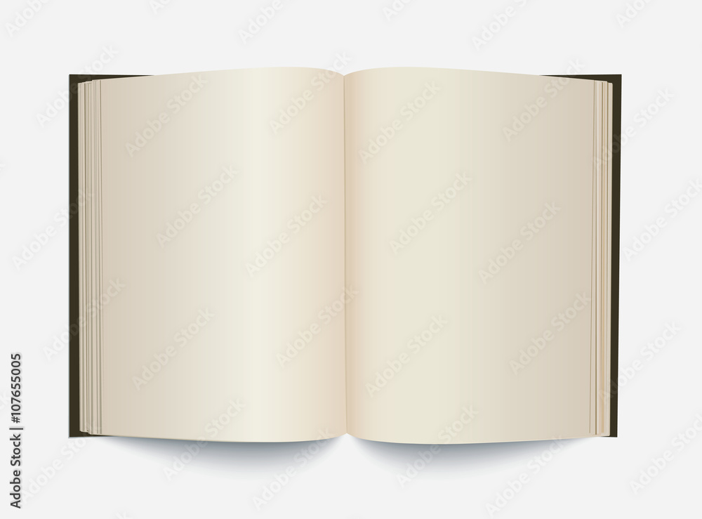 Vector blank white opened book. Vector blank white opened book.