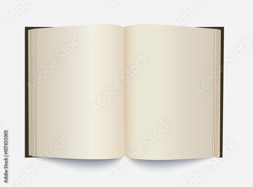 Vector blank white opened book.