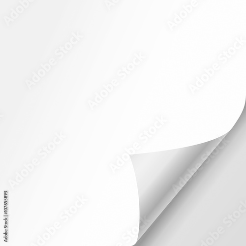 Vector white sheet of paper with realistic curled corner.