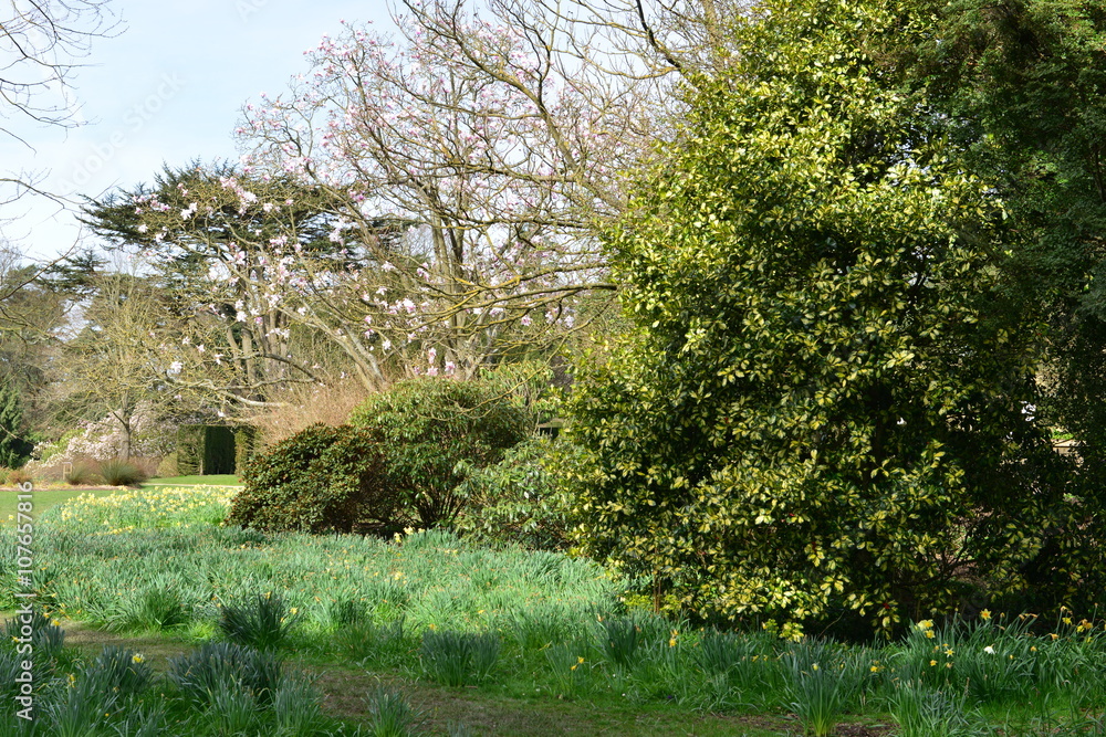 An English country garden in Springtime,
An English country garden in Springtime,