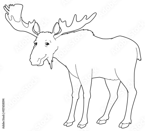 Cartoon animal - moose - isolated - coloring page - illustration for children