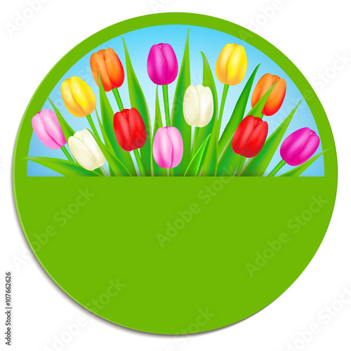 Fototapeta Naklejka Na Ścianę i Meble -  Label Vorlage mit bunten Tulpen