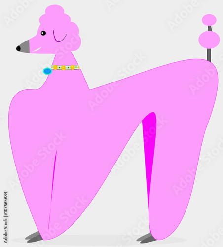 Caniche teñido de rosa