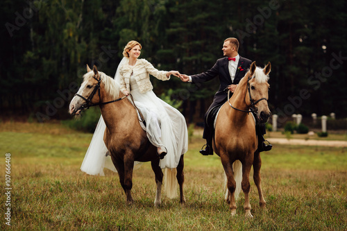 beautiful bride and stylish groom riding horses in park