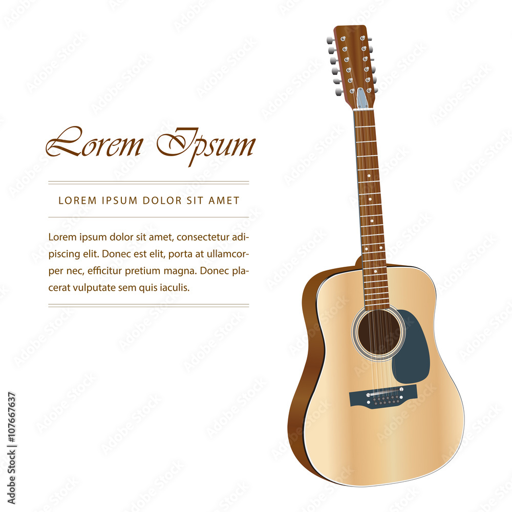 Fototapeta premium 12 String Acoustic Guitar