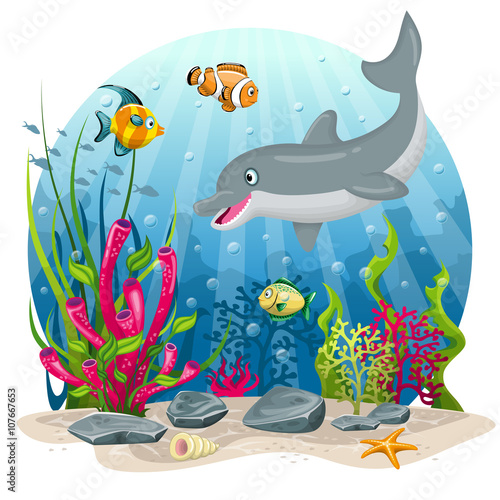 Dolphin and fish in the sea