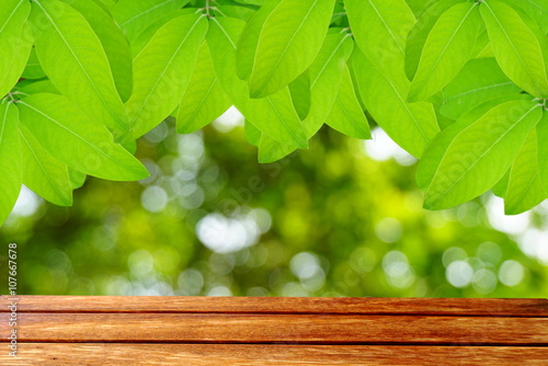 wooden table green leaves on spring bokeh nature background