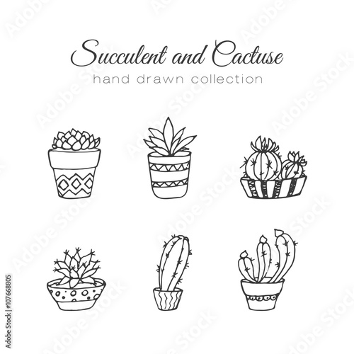 Cactus illustration. Vector succulent and cacti hand drawn set. In door plants in pots.