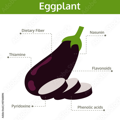 eggplant nutrient of facts and health benefits, info graphic