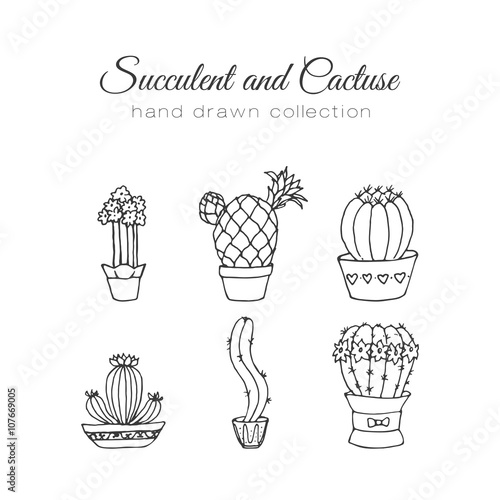 Cactus illustration. Vector succulent and cacti hand drawn set. In door plants in pots.