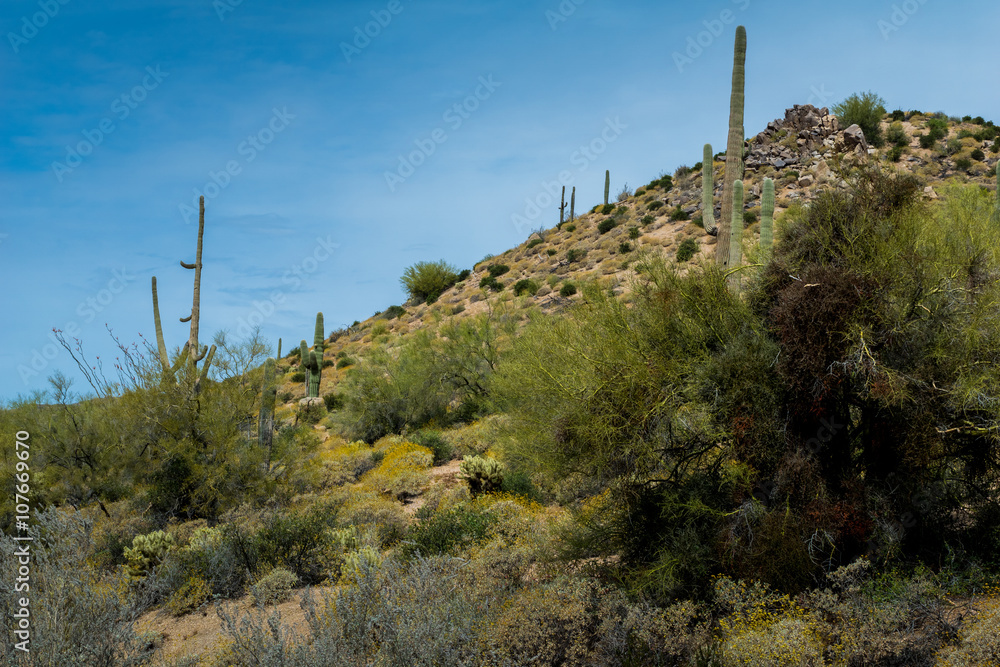 Hidden Treasures abound around Phoenix Arizona
Hidden Treasures abound around Phoenix Arizona