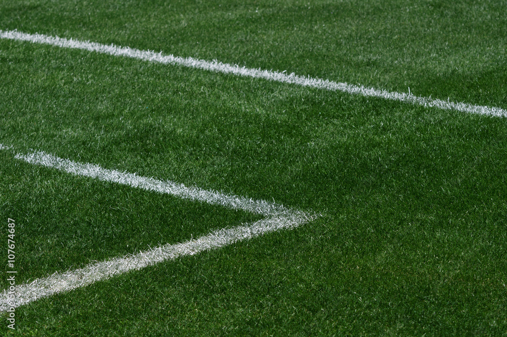 Perspective view of the lines of a soccer's field