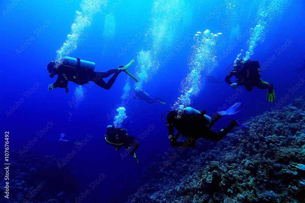 group of divers underwater on a coral reef group of divers underwater on a coral reef